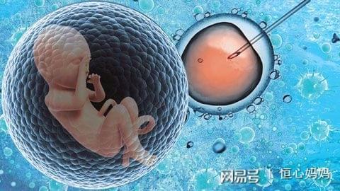 试管供卵代孕公司
